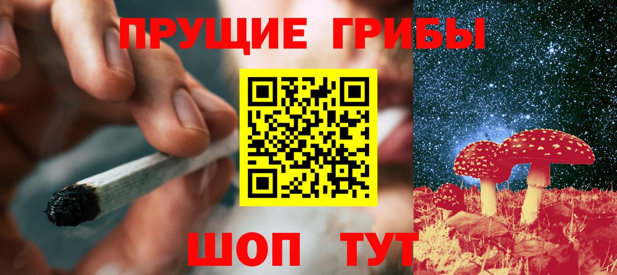 Галлюциногенные грибы прущие грибы  Вход с VPN  Клин  Псилоцибиновые грибы Psilocybe 
