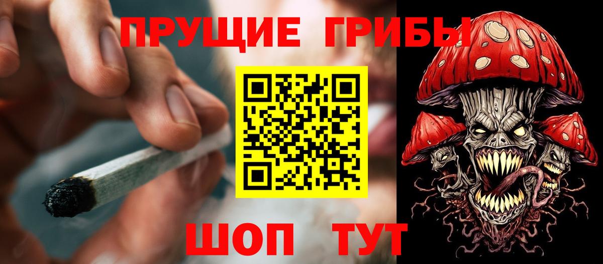 Псилоцибиновые грибы Psilocybine cubensis Клин