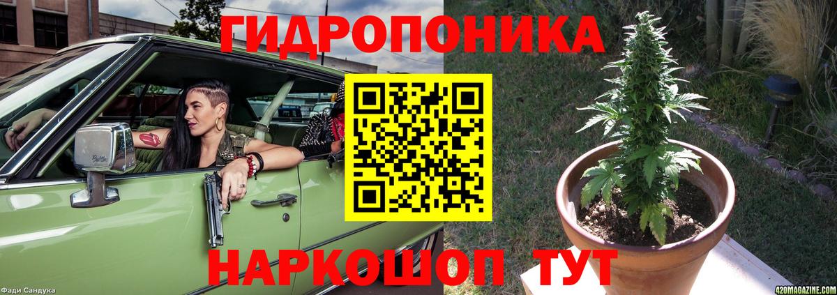 Конопля AK-47 Клин
